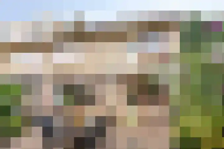 Lorentzlaan 32 Zwolle thumbnail 4