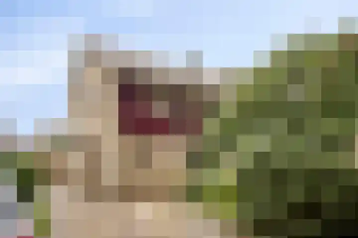 Lorentzlaan 32 Zwolle thumbnail 41