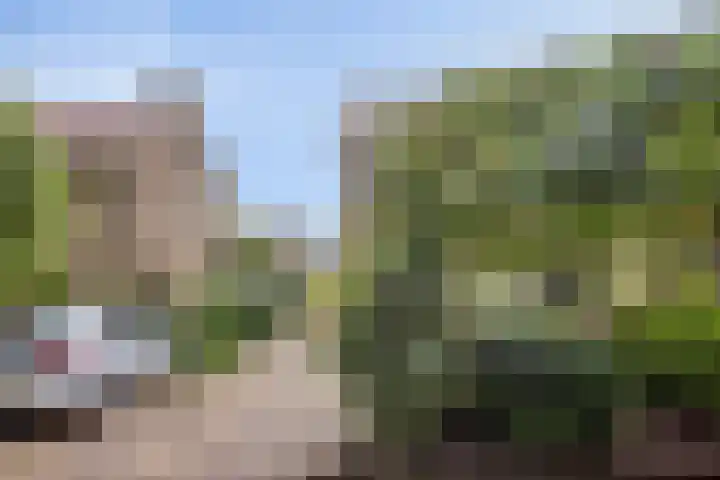 Lorentzlaan 32 Zwolle thumbnail 43