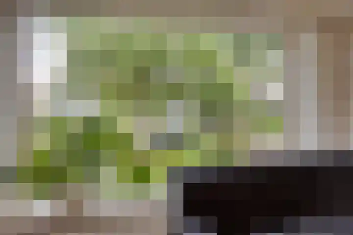 Lorentzlaan 32 Zwolle thumbnail 5