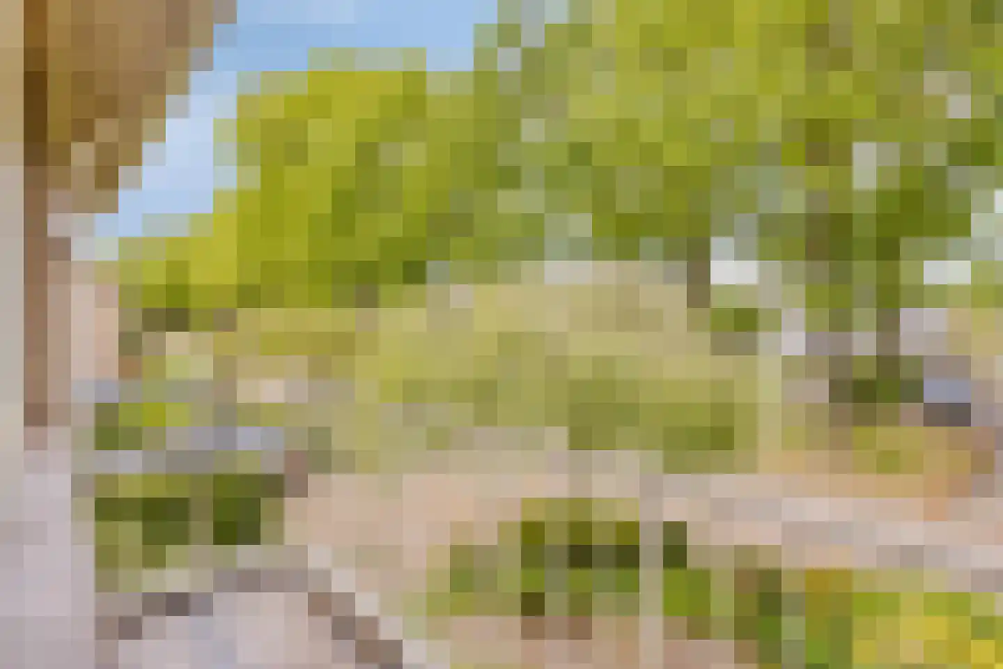Lorentzlaan 34 Zwolle thumbnail 19