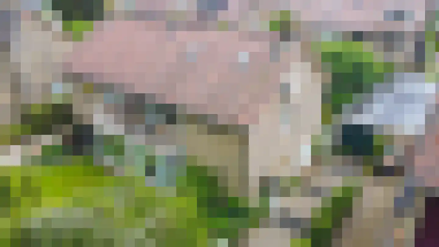 Lorentzlaan 34 Zwolle thumbnail 37
