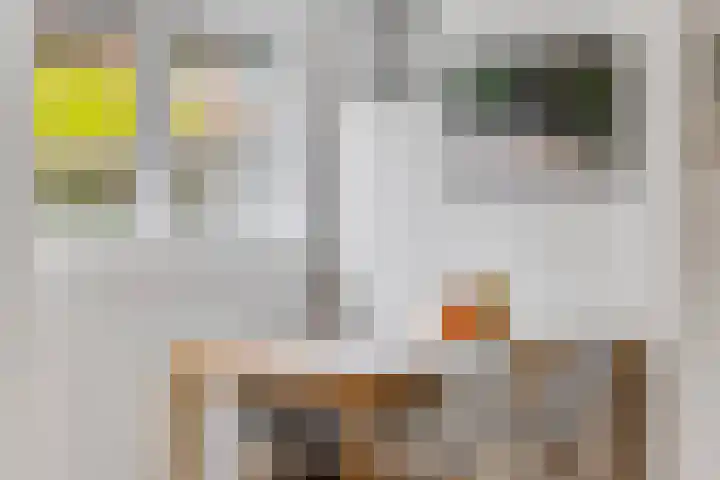 Lorentzlaan 4 Utrecht thumbnail 12