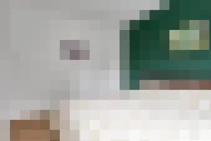 Lorentzlaan 4 Utrecht thumbnail 32