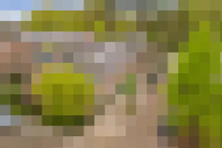 Lorentzlaan 4 Utrecht thumbnail 52