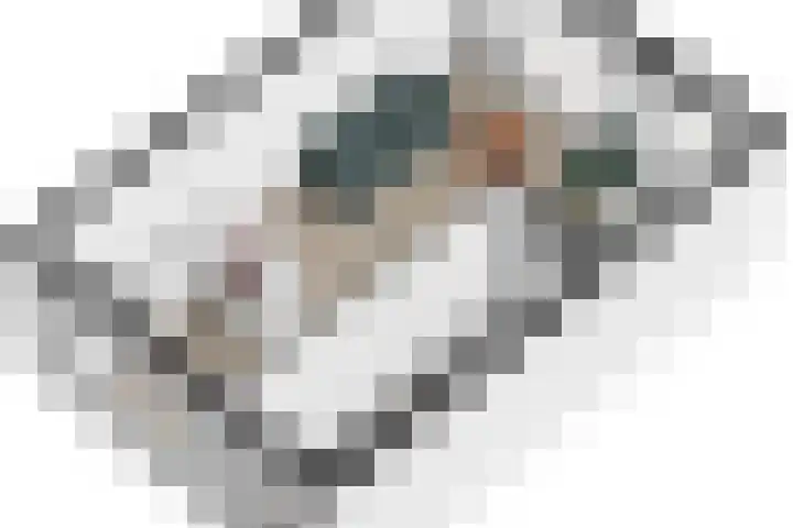 Lorentzlaan 4 Utrecht thumbnail 58