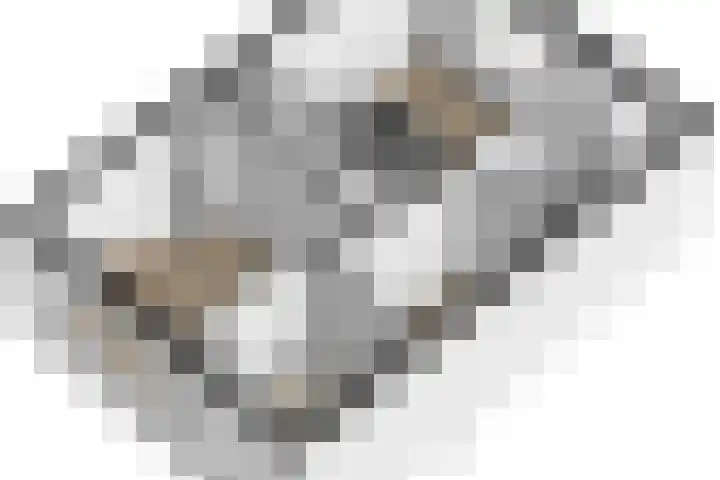Lorentzlaan 4 Utrecht thumbnail 60