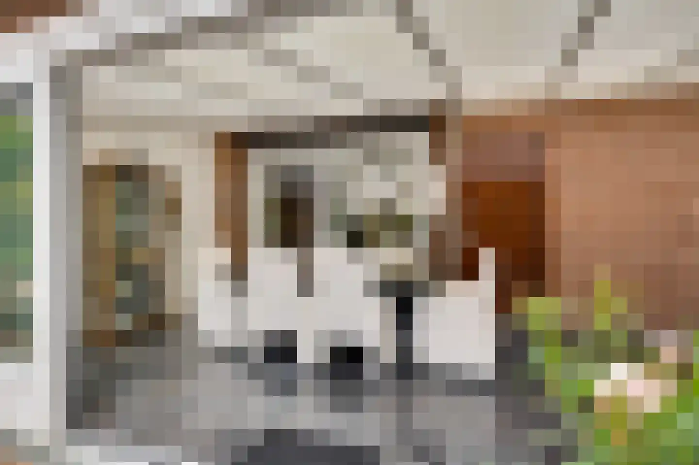 Lorentzlaan 4 Weert thumbnail 19