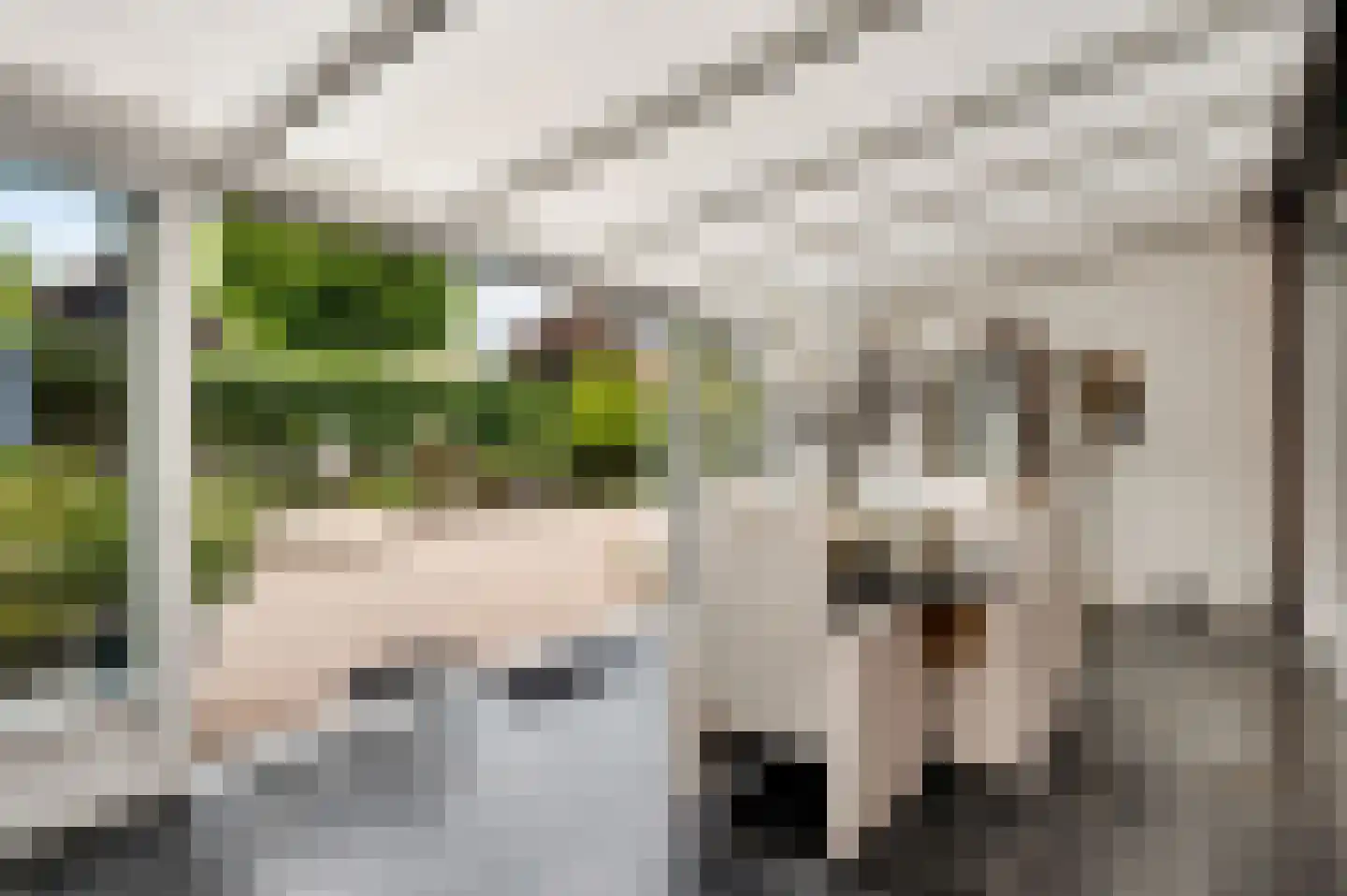 Lorentzlaan 4 Weert thumbnail 20