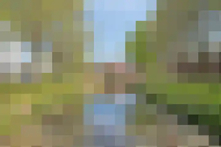 Lorentzlaan 49 C Schiedam thumbnail 32
