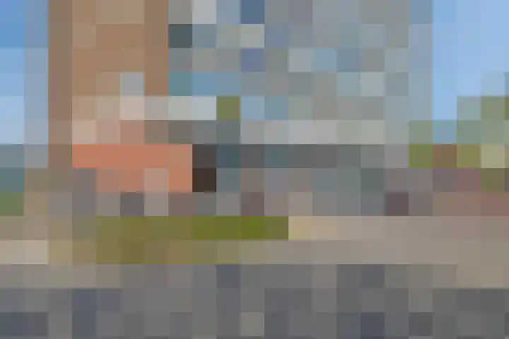 Lorentzlaan 49 C Schiedam thumbnail 33