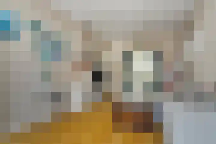 Lorentzlaan 49 C Schiedam thumbnail 7
