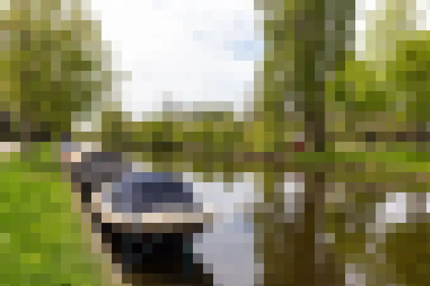 Lorentzlaan 49 Heemstede thumbnail 36