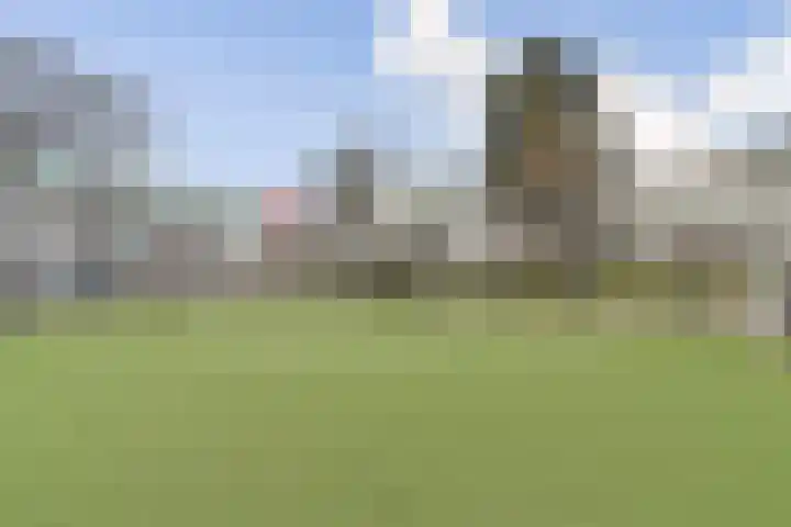 Lorentzlaan 53 B Schiedam thumbnail 21