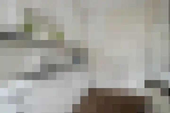 Lorentzlaan 53 Terneuzen thumbnail 14