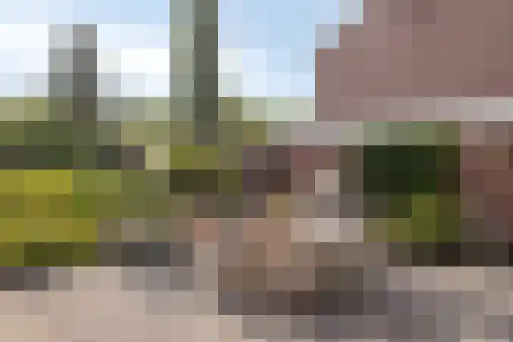 Lorentzlaan 53 Terneuzen thumbnail 29