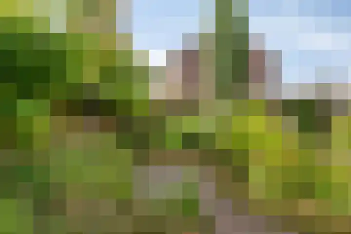 Lorentzlaan 53 Terneuzen thumbnail 33