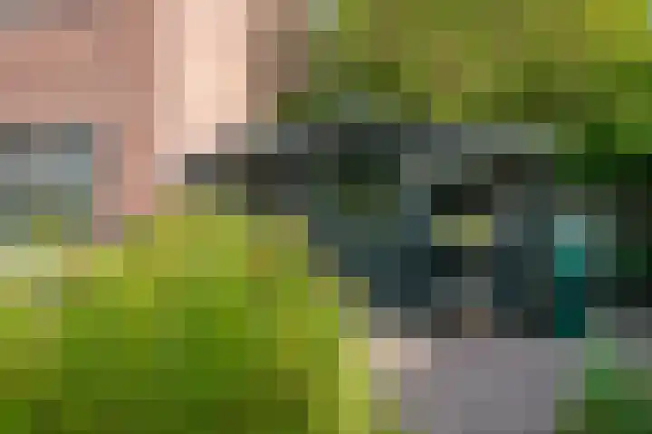 Lorentzlaan 53 Terneuzen thumbnail 36