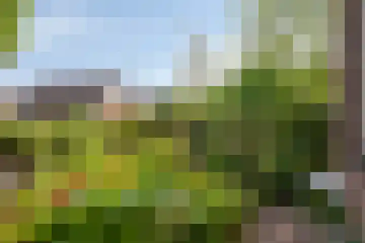 Lorentzlaan 53 Terneuzen thumbnail 40