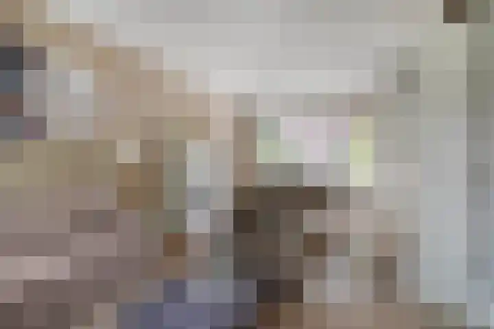 Lorentzlaan 53 Terneuzen thumbnail 9