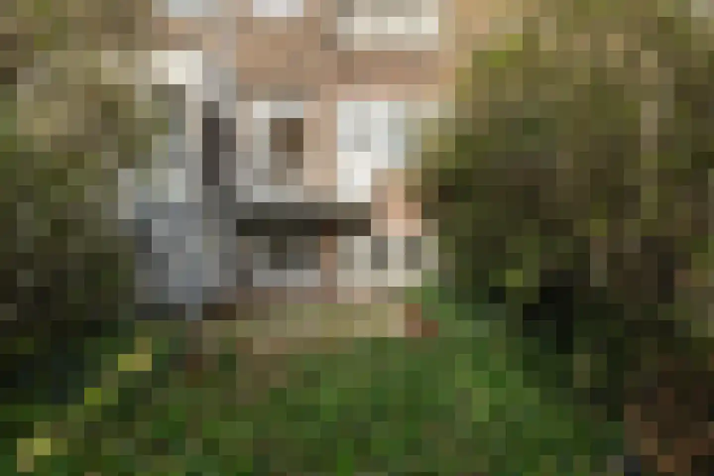 Lorentzlaan 57 A Schiedam thumbnail 11