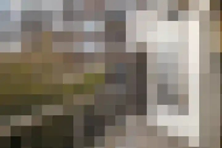 Lorentzlaan 57 A Schiedam thumbnail 15