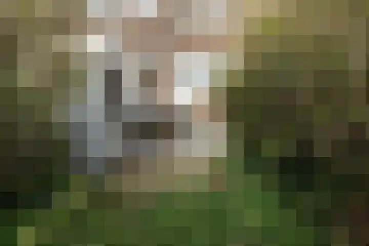 Lorentzlaan 57 A Schiedam thumbnail 17