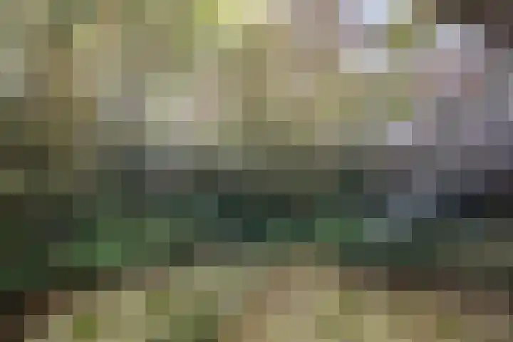 Lorentzlaan 57 A Schiedam thumbnail 18
