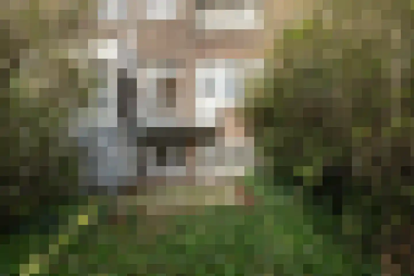 Lorentzlaan 57 A Schiedam thumbnail 19