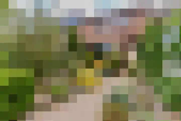 Lorentzlaan 58 Heemstede thumbnail 20