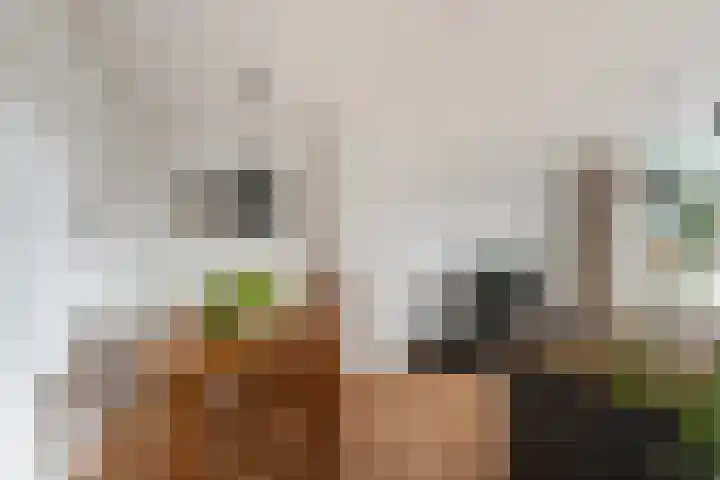 Lorentzlaan 70 Schiedam thumbnail 4