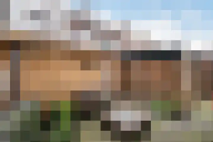 Lorentzlaan 70 Schiedam thumbnail 7