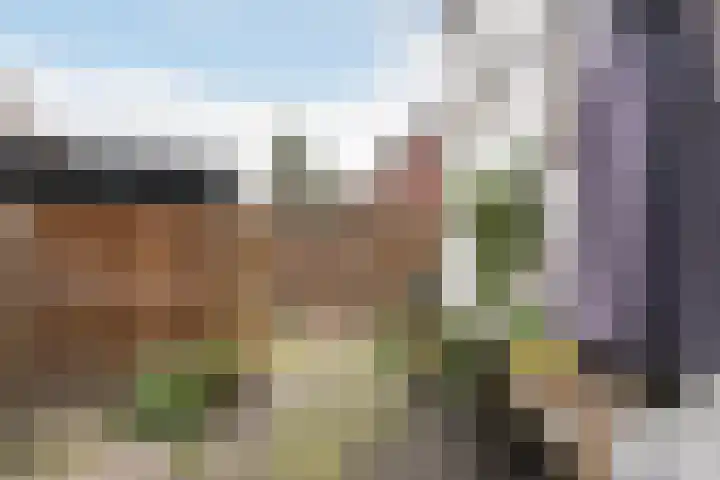 Lorentzlaan 70 Schiedam thumbnail 8