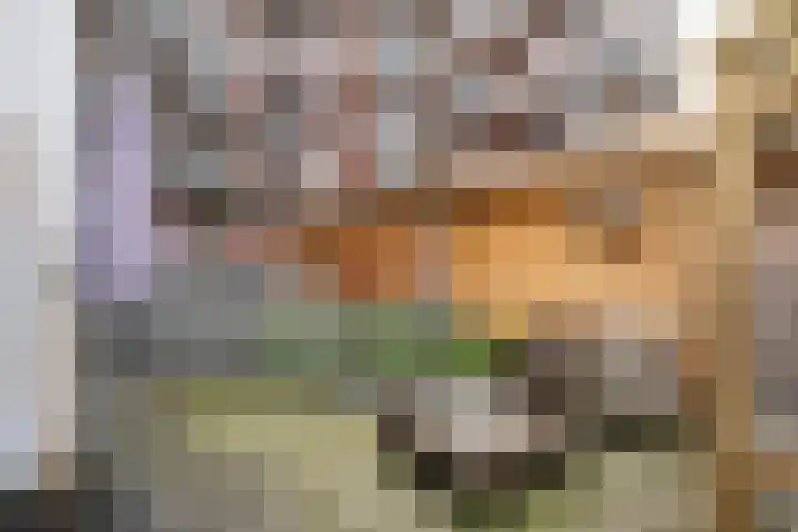 Lorentzlaan 70 Schiedam thumbnail 9