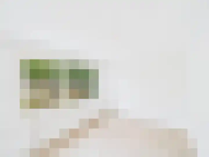Lorentzlaan 84 Terneuzen thumbnail 12