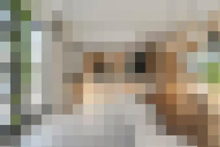 Lorentzlaan 9 Almelo thumbnail 11