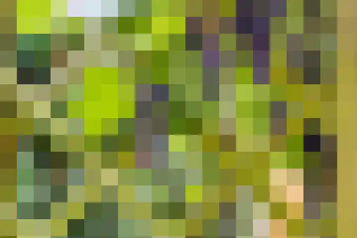 Lorentzlaan 9 Almelo thumbnail 13