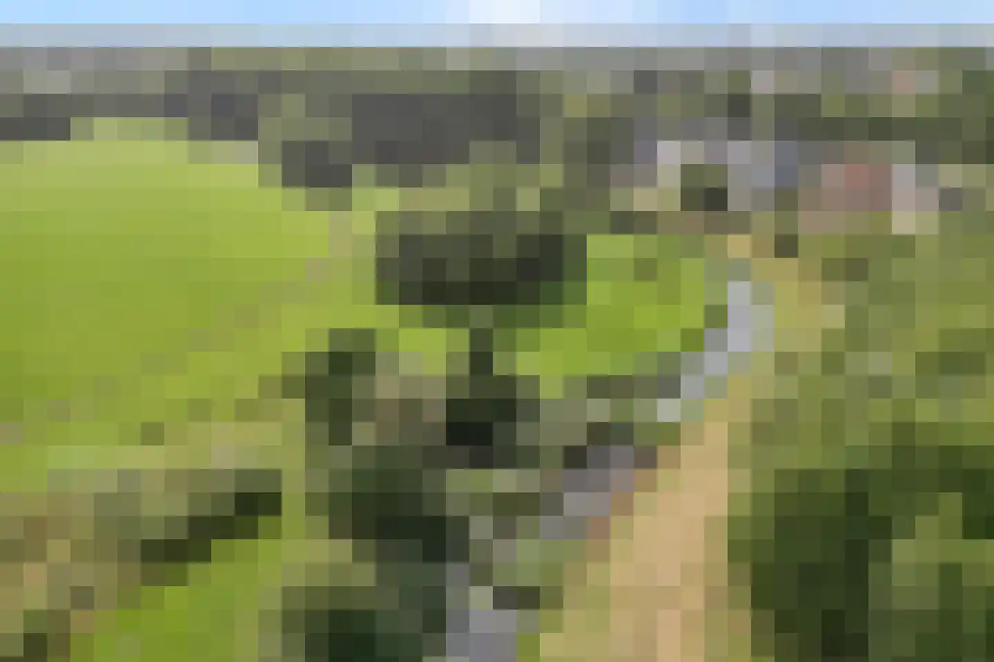 Lorentzlaan 9 Almelo thumbnail 29