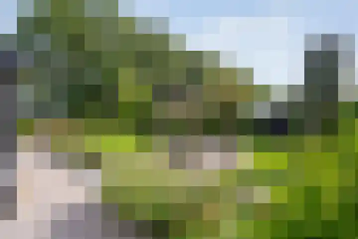 Lorentzlaan 9 Almelo thumbnail 30