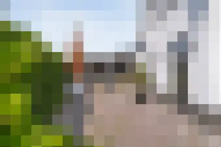 Lorentzlaan 9 Almelo thumbnail 31