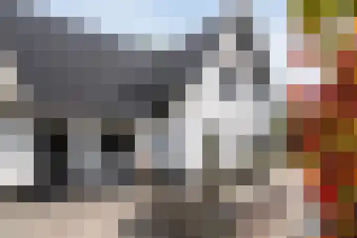 Lorentzlaan 9 Almelo thumbnail 34