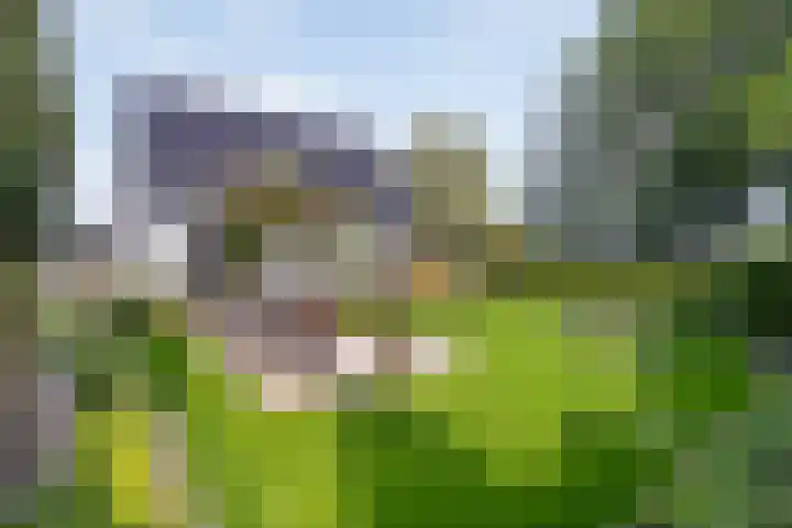 Lorentzlaan 9 Almelo thumbnail 38