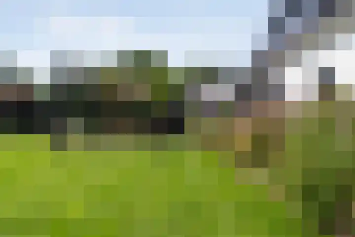 Lorentzlaan 9 Almelo thumbnail 39
