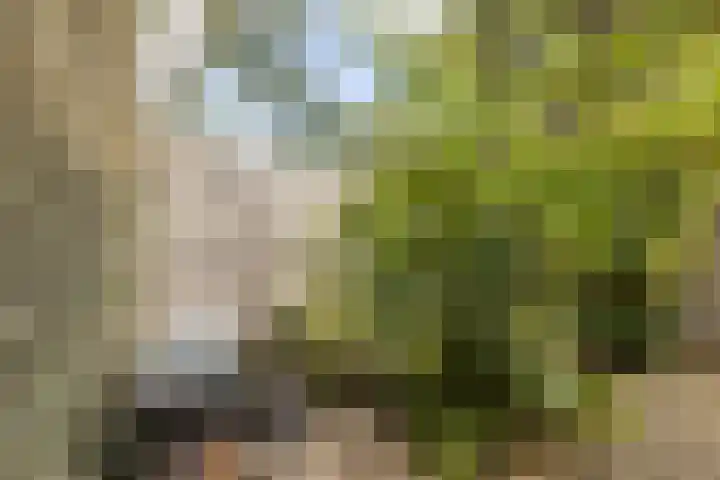 Lorentzlaan 9 Almelo thumbnail 4