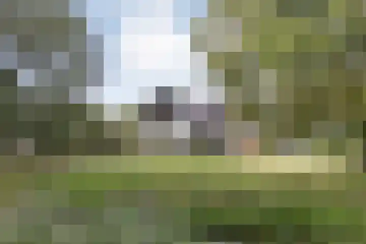 Lorentzlaan 9 Almelo thumbnail 40