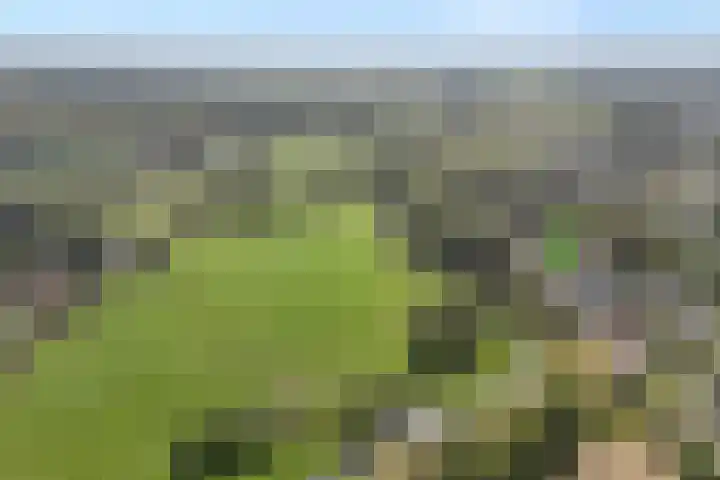 Lorentzlaan 9 Almelo thumbnail 42