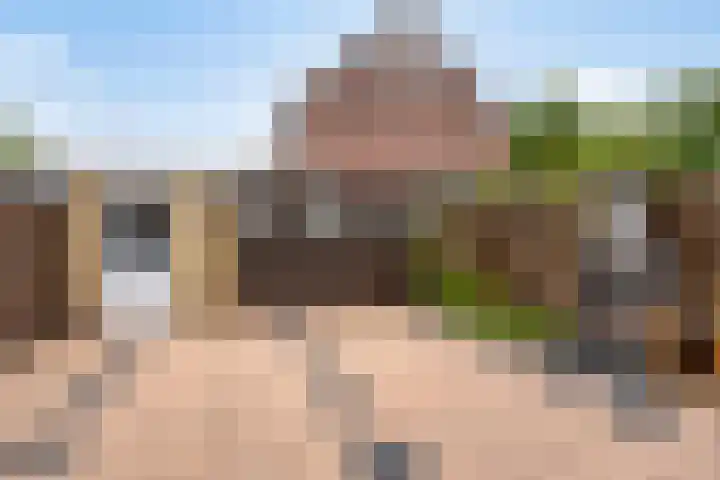 Lorentzlaan 98 Terneuzen thumbnail 19