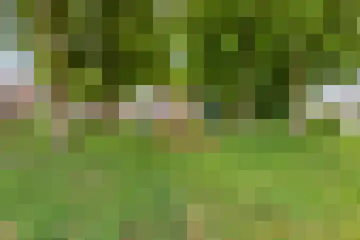 Lorentzlaan 98 Terneuzen thumbnail 22