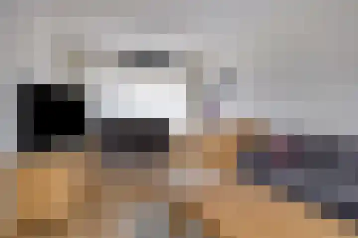 Lorentzlaan 98 Terneuzen thumbnail 6