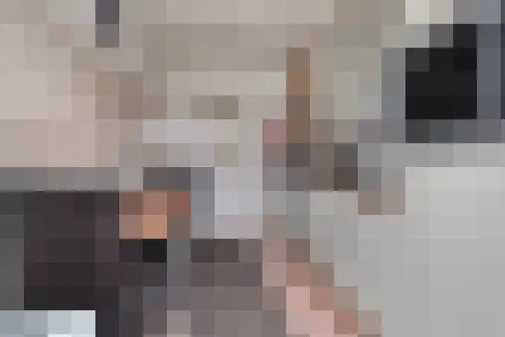 Lorentzlaan 98 Terneuzen thumbnail 8